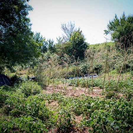 Tente En Permaculture Pirate Creysse  Экстерьер фото